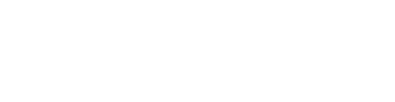 Norfolk Southern Logo White